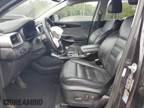 2019 Kia Sorento EX with VIN 5XYPHDA56KG541639, listed as a Copart auction lot 80546395 with 68,199 mi miles and Salvage title. Bid and sale history available at DreamBid. Image 7.