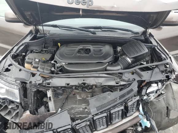 2019 Jeep Grand Cherokee Altitude with VIN 1C4RJEAGXKC817054, listed as a Copart auction lot 60172875 with 43,405 mi miles and Salvage title. Bid and sale history available at DreamBid. Image 12.