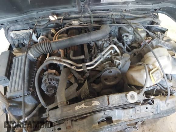 2003 Jeep Wrangler Sahara с VIN 1J4FA59S73P307373, выставлен на аукционе IAAI как лот 42542540 с пробегом 131 112 миль миль и . История ставок и продаж доступна на DreamBid. Изображение 10.