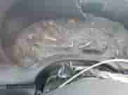 2002 Chevrolet Blazer LS with VIN 1GNDT13W02K228366, listed as a Copart auction lot 64025825 with 244,076 mi miles and Non repairable. Bid and sale history available at DreamBid. Image 9.