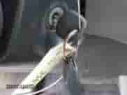 2017 Toyota Sienna LE с VIN 5TDJZ3DC8HS184113, выставлен на аукционе IAAI как лот 43153189 с пробегом 100 814 миль миль и . История ставок и продаж доступна на DreamBid. Изображение 11.