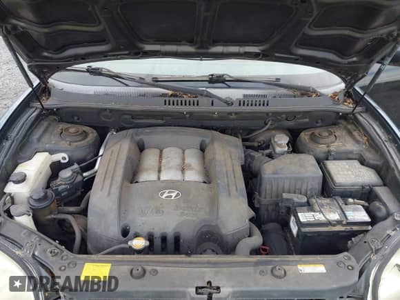 2006 Hyundai Santa Fe GLS с VIN KM8SC73D86U102487, выставлен на аукционе IAAI как лот 43349283 с пробегом 97 613 миль миль и . История ставок и продаж доступна на DreamBid. Изображение 10.