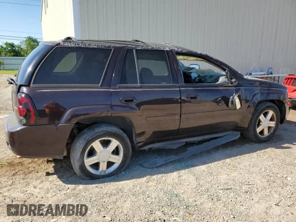 2008 Chevrolet TrailBlazer 2LT с VIN 1GNDS13SX82241313, выставлен на аукционе Copart как лот 69173174 с пробегом 242 683 миль миль и Списание • Salvage title. История ставок и продаж доступна на DreamBid. Изображение 3.