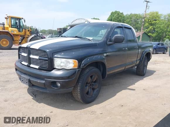 2004 Dodge 1500 SLT with VIN 1D7HU18D24S534850, listed as a IAAI auction lot 42442571 with Not provided miles and . Bid and sale history available at DreamBid. Image 2.