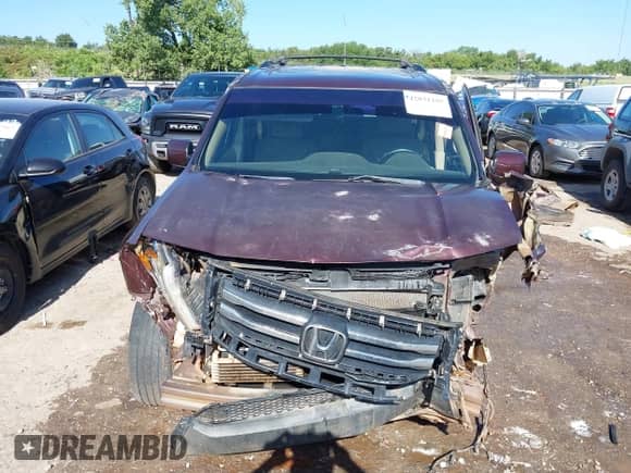 2013 Honda Pilot EX-L with VIN 5FNYF4H55DB040980, listed as a IAAI auction lot 42831295 with Not provided miles and . Bid and sale history available at DreamBid. Image 12.