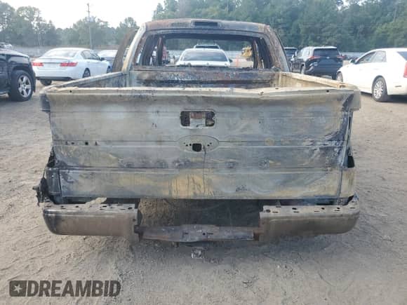 2010 Ford F-150 XL with VIN 1FTFW1CV1AFA74421, listed as a Copart auction lot 80206335 with Not provided miles and Salvage title. Bid and sale history available at DreamBid. Image 6.