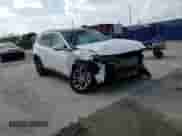 2025 Hyundai Tucson Limited with VIN 3KMJE3DE2SE016625, listed as a Copart auction lot 65556905 with 3,187 mi miles and Non repairable. Bid and sale history available at DreamBid. Image 14.