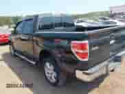 2013 Ford F-150 XL с VIN 1FTFW1ET3DKE52634, выставлен на аукционе IAAI как лот 43190343 с пробегом 187 320 миль миль и . История ставок и продаж доступна на DreamBid. Изображение 3.