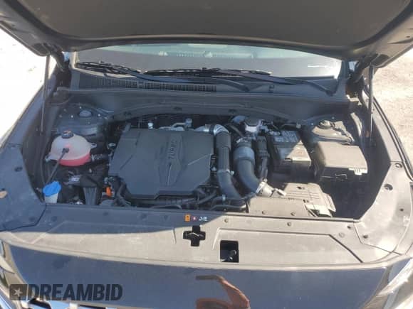 2023 Hyundai Santa Fe Limited с VIN 5NMS44AL9PH587452, выставлен на аукционе Copart как лот 68137215 с пробегом 29 252 миль миль и На запчасти • Non repairable. История ставок и продаж доступна на DreamBid. Изображение 12.