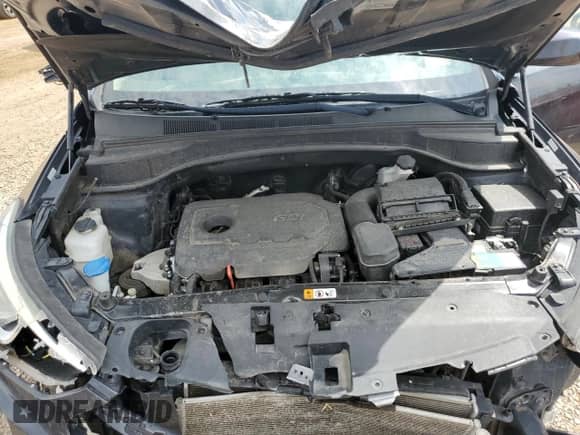 2018 Hyundai Santa Fe 2.4L z VIN 5XYZTDLB8JG560444, wystawiony jako Copart lot #66043345 z przebiegiem 155 275 mil mil oraz Szkoda całkowita • Salvage title. Historia ofert i sprzedaży dostępna na DreamBid. Obrazek 12.