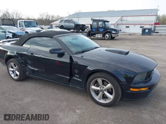 2009 Ford Mustang GT with VIN 1ZVHT85H795119586, listed as a IAAI auction lot 42056218 with 150,568 mi miles and . Bid and sale history available at DreamBid. Image 1.