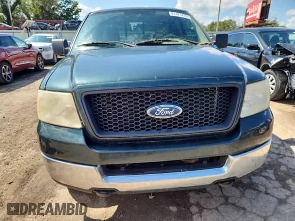 2005 Ford F-150 XLT with VIN 1FTPX14515NA03344, listed as a Copart auction lot 81421415 with 213,914 mi miles and Salvage title. Bid and sale history available at DreamBid. Image 5.