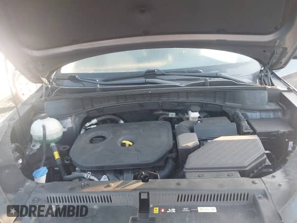 2020 Hyundai Tucson Value с VIN KM8J3CA43LU240098, выставлен на аукционе IAAI как лот 42942816 с пробегом 74 561 миль миль и . История ставок и продаж доступна на DreamBid. Изображение 10.