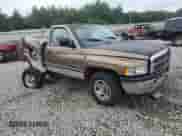 2001 Dodge 1500 with VIN 1B7HC16Y41S659556, listed as a Copart auction lot 61096885 with 262,138 mi miles and Salvage title. Bid and sale history available at DreamBid. Image 4.