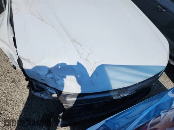 2021 Chevrolet Colorado 4WD Z71 with VIN 1GCGTDEN7M1233424, listed as a Copart auction lot 69116365 with Not provided miles and Salvage title. Bid and sale history available at DreamBid. Image 11.