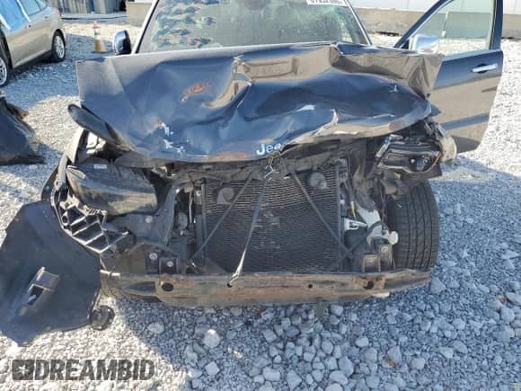 2019 Jeep Grand Cherokee Limited with VIN 1C4RJFBG4KC843055, listed as a Copart auction lot 81952305 with 164,380 mi miles and Salvage title. Bid and sale history available at DreamBid. Image 12.