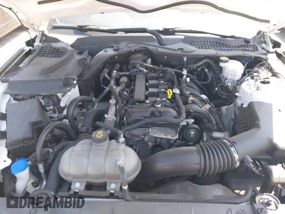 2021 Ford Mustang EcoBoost z VIN 1FA6P8TH2M5151703, wystawiony jako IAAI lot #42798620 z przebiegiem 36 686 mil mil oraz . Historia ofert i sprzedaży dostępna na DreamBid. Obrazek 10.