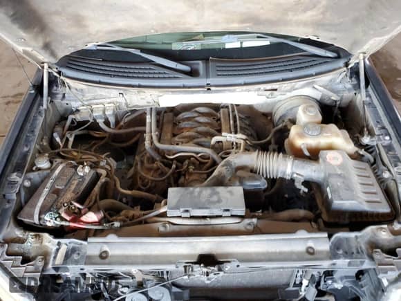 2013 Ford F-150 XL with VIN 1FTFW1CF1DKF05053, listed as a Copart auction lot 86512985 with Not provided miles and Salvage title. Bid and sale history available at DreamBid. Image 11.