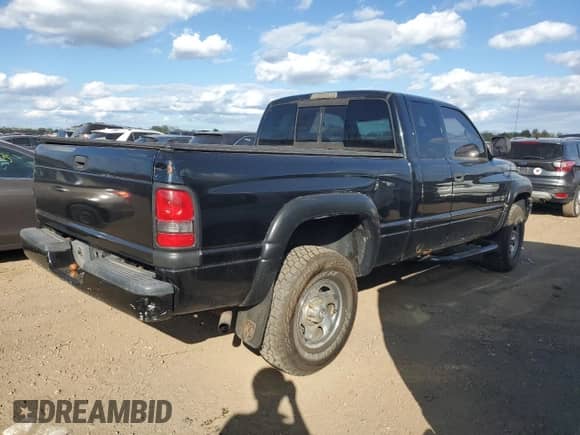 2000 Dodge 1500 with VIN 1B7HF13Z8YJ147268, listed as a Copart auction lot 84050655 with 244,229 mi miles and Clean title. Bid and sale history available at DreamBid. Image 3.