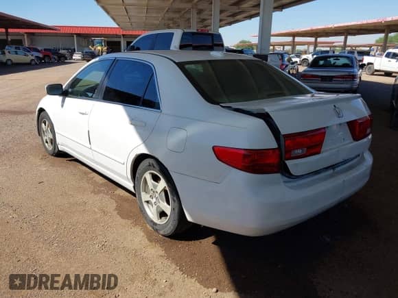 2005 Honda Accord with VIN JHMCN36445C009458, listed as a IAAI auction lot 43306839 with 154,425 mi miles and . Bid and sale history available at DreamBid. Image 3.
