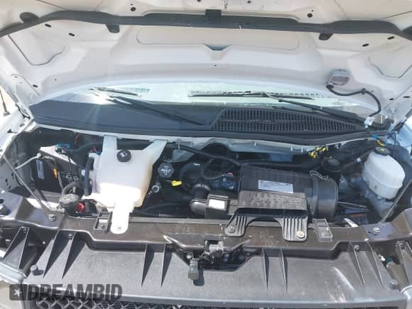 2017 Chevrolet Express Passenger LT с VIN 1GAZGPFF0H1263692, выставлен на аукционе IAAI как лот 42187605 с пробегом 76 995 миль миль и . История ставок и продаж доступна на DreamBid. Изображение 10.