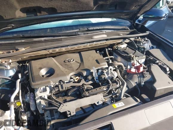 2021 Toyota Camry SE Nightshade z VIN 4T1G11AK1MU532174, wystawiony jako IAAI lot #43458375 z przebiegiem 53 698 mil mil oraz . Historia ofert i sprzedaży dostępna na DreamBid. Obrazek 10.