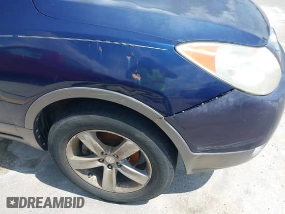 2008 Hyundai Veracruz GLS with VIN KM8NU13C68U041965, listed as a IAAI auction lot 42699290 with 178,333 mi miles and . Bid and sale history available at DreamBid. Image 6.