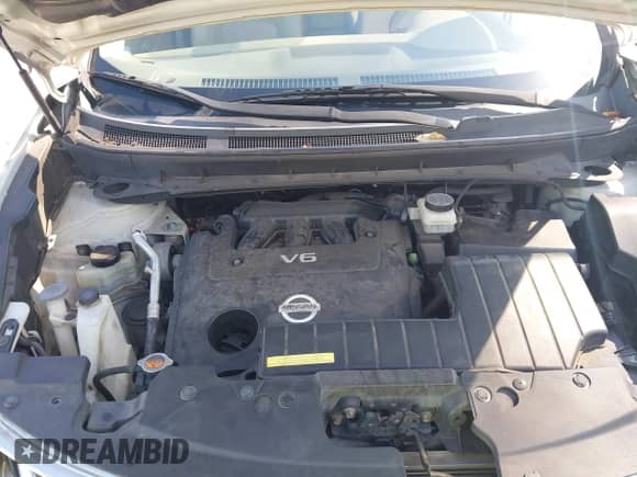 2010 Nissan Murano SL с VIN JN8AZ1MW0AW106661, выставлен на аукционе IAAI как лот 43357011 с пробегом 198 174 миль миль и . История ставок и продаж доступна на DreamBid. Изображение 10.