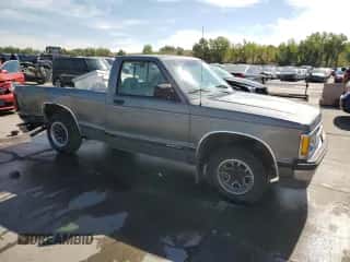 1993 Chevrolet S-10 EL z VIN 1GCCS14A5P8100784, wystawiony jako Copart lot #70484874 z przebiegiem 185 250 mil mil oraz Szkoda całkowita • Salvage title. Historia ofert i sprzedaży dostępna na DreamBid. Obrazek 4.