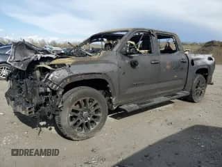 2022 Toyota Tundra Limited with VIN 5TFJA5DB7NX055330, listed as a Copart auction lot 51812465 with Not provided miles and Salvage title. Bid and sale history available at DreamBid. Image 1.