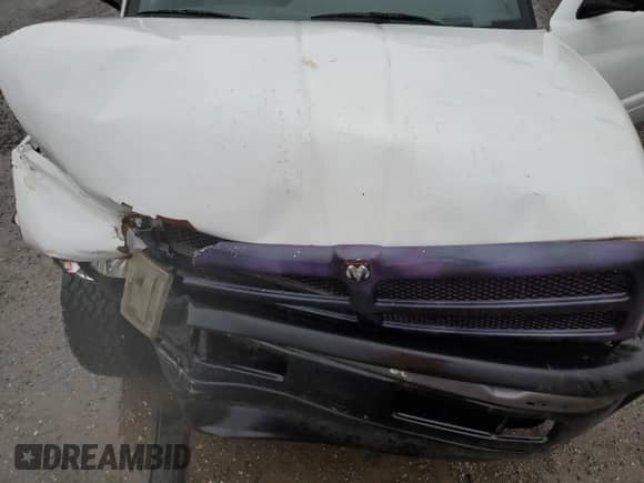 1999 Dodge 1500 с VIN 1B7HC16X8XS213569, выставлен на аукционе Copart как лот 83028614 с пробегом Не указан миль и Списание • Salvage title. История ставок и продаж доступна на DreamBid. Изображение 11.