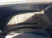 2004 Chevrolet Suburban LS with VIN 3GNEC16Z94G255974, listed as a IAAI auction lot 41439287 with Not provided miles and . Bid and sale history available at DreamBid. Image 7.