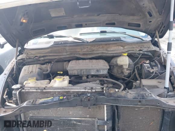 2004 Dodge 1500 SLT with VIN 1D7HA18N54S753383, listed as a IAAI auction lot 42446116 with 326,122 mi miles and . Bid and sale history available at DreamBid. Image 10.