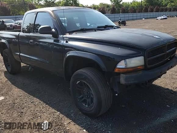 2001 Dodge Dakota with VIN 1B7GG22X91S113726, listed as a Copart auction lot 65792155 with 249,280 mi miles and Salvage title. Bid and sale history available at DreamBid. Image 13.