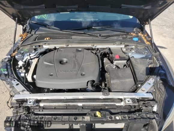 2019 Volvo S60 Momentum with VIN 7JR102FK3KG009926, listed as a Copart auction lot 81003675 with 16,852 mi miles and Salvage title. Bid and sale history available at DreamBid. Image 11.