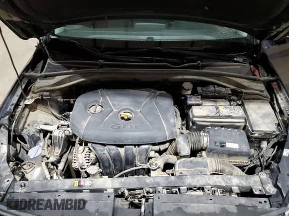 2019 Hyundai Elantra z VIN KMHH35LE0KU108625, wystawiony jako Copart lot #87413305 z przebiegiem 134 159 mil mil oraz Szkoda całkowita • Salvage title. Historia ofert i sprzedaży dostępna na DreamBid. Obrazek 11.