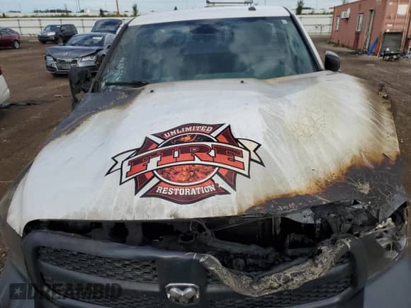 2013 Ram 1500 Tradesman with VIN 3C6JR6DG3DG596234, listed as a Copart auction lot 69247164 with Not provided miles and Salvage title. Bid and sale history available at DreamBid. Image 12.