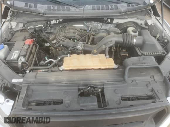 2017 Ford F-150 XL with VIN 1FTEX1C80HKC53330, listed as a Copart auction lot 66495315 with 158,860 mi miles and Salvage title. Bid and sale history available at DreamBid. Image 11.