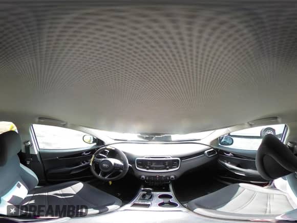 2016 Kia Sorento L with VIN 5XYPG4A39GG091994, listed as a IAAI auction lot 43068521 with 114,776 mi miles and . Bid and sale history available at DreamBid. Image 18.