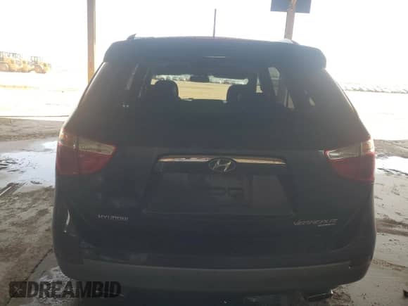 2007 Hyundai Veracruz GLS with VIN KM8NU13C47U024418, listed as a Copart auction lot 84458725 with Not provided miles and Salvage title. Bid and sale history available at DreamBid. Image 6.