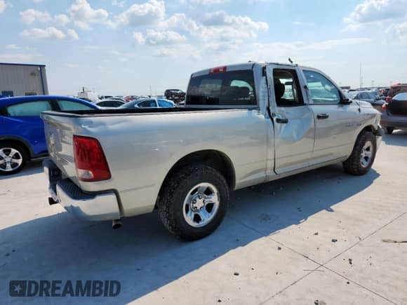 2010 Dodge 1500 SLT z VIN 1D7RB1GTXAS218014, wystawiony jako Copart lot #69746695 z przebiegiem 301 260 mil mil oraz Szkoda całkowita • Salvage title. Historia ofert i sprzedaży dostępna na DreamBid. Obrazek 3.