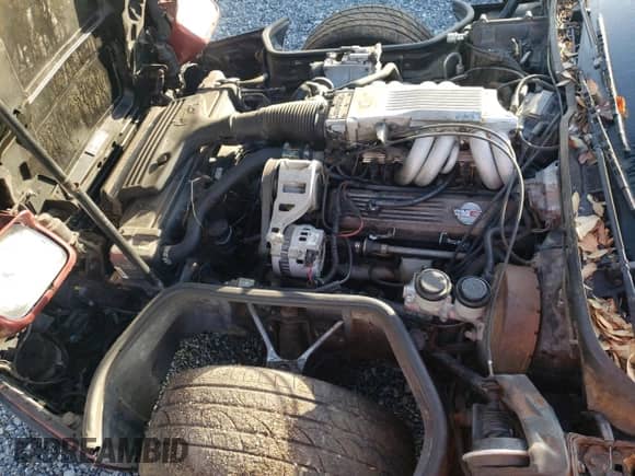 1988 Chevrolet Corvette с VIN 1G1YY3180J5104650, выставлен на аукционе Copart как лот 80376124 с пробегом 173 467 миль миль и Списание • Salvage title. История ставок и продаж доступна на DreamBid. Изображение 11.