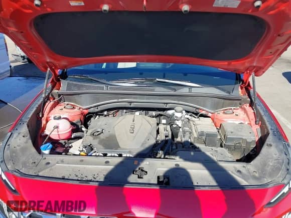 2023 Hyundai Santa Fe SEL with VIN 5NMS3DAJ4PH567689, listed as a IAAI auction lot 41219696 with 16,327 mi miles and . Bid and sale history available at DreamBid. Image 10.