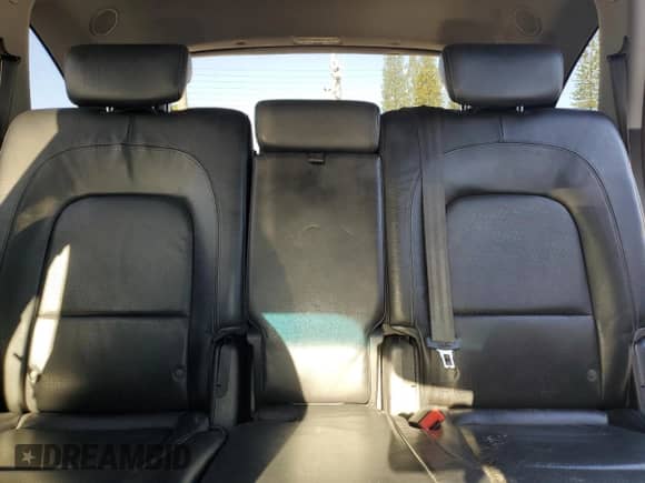 2008 Hyundai Veracruz GLS with VIN KM8NU13C98U030913, listed as a Copart auction lot 80793495 with 196,356 mi miles and Salvage title. Bid and sale history available at DreamBid. Image 10.