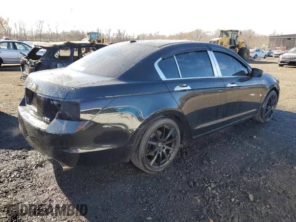 2009 Honda Accord EX-L with VIN 5KBCP36859B501067, listed as a Copart auction lot 80668554 with 159,910 mi miles and Salvage title. Bid and sale history available at DreamBid. Image 3.