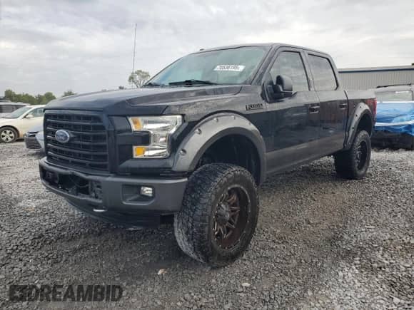 2016 Ford F-150 XLT z VIN 1FTEW1EFXGKF64213, wystawiony jako Copart lot #70536195 z przebiegiem 130 832 mil mil oraz Szkoda całkowita • Salvage title. Historia ofert i sprzedaży dostępna na DreamBid. Obrazek 1.