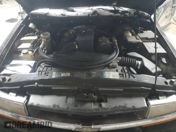 1998 Chevrolet S-10 LS with VIN 1GCCS1947WK260721, listed as a Copart auction lot 45976485 with 182,532 mi miles and Salvage title. Bid and sale history available at DreamBid. Image 13.
