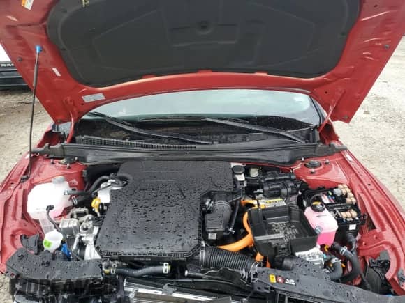 2025 Hyundai Elantra Limited with VIN KMHLN4DJ3SU154265, listed as a Copart auction lot 84041825 with 3,716 mi miles and Non repairable. Bid and sale history available at DreamBid. Image 11.