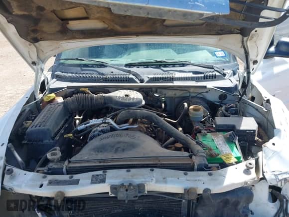 1999 Dodge Dakota SLT z VIN 1B7GL22X6XS186007, wystawiony jako IAAI lot #41953254 z przebiegiem 322 541 mil mil oraz . Historia ofert i sprzedaży dostępna na DreamBid. Obrazek 10.