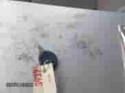 2004 Dodge 1500 SLT with VIN 1D7HU16D74J146182, listed as a IAAI auction lot 41531201 with 135,222 mi miles and . Bid and sale history available at DreamBid. Image 11.